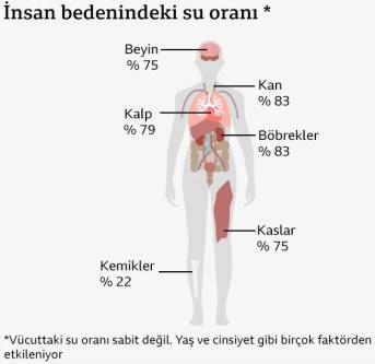 Fazla ya da az su tüketmenin riskleri neler?
