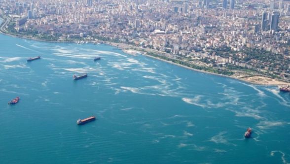 Marmara Denizi'nde Müsilaj endişesi