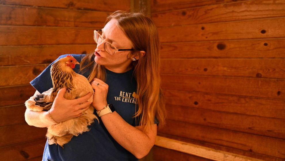Amerikalılar yumurta fiyatları krizine karşı tavuk kiralıyor
