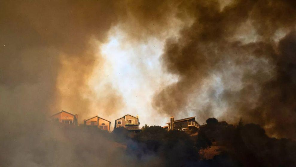 'Orman yangınlarından çıkan dumandan 15 bin ABD'li öldü'