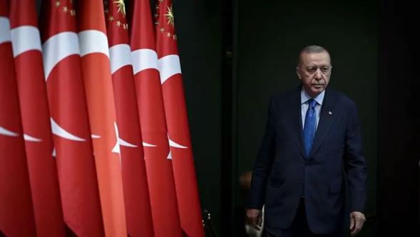 Erdoğan'dan orman yangınları mesajı: 'Yangınlarda çok az da olsa sabotaj ve kasıtlar da var'