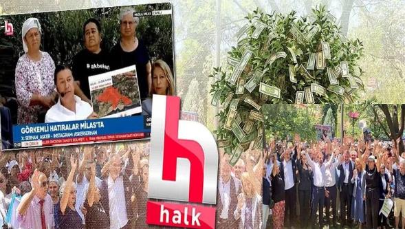 Zeytin bahane para şahane! Halk TV'nin ‘zeytin ağacı' duyarlılığı..!