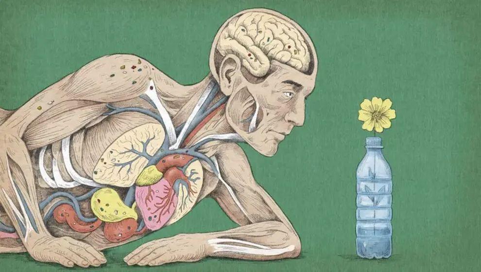 Bedenimizin içindeki mikro plastikler sağlığımızı nasıl etkiliyor?