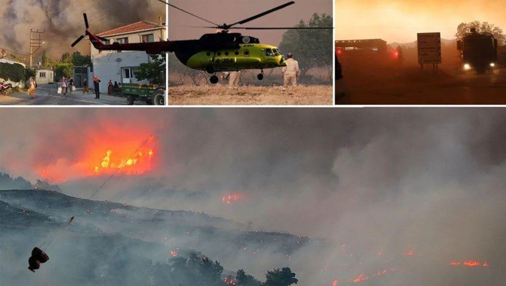Çanakkale'de orman kalmadı, yeşil vatan kül oldu
