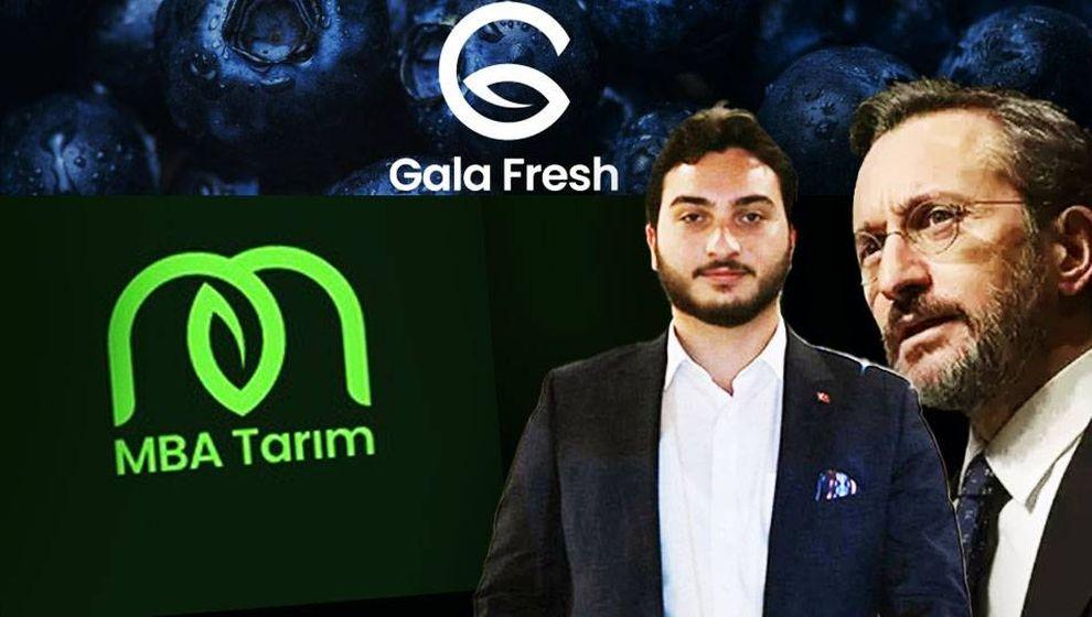 Gazeteci Timur Soykan: 