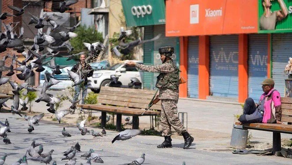 Hindistan'da güvercin beslemek yasaklandı: Sağlık krizi kapıda