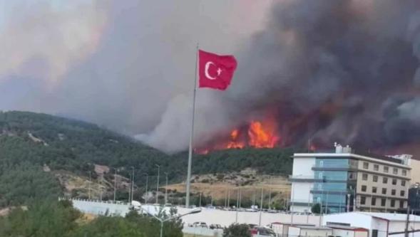 Çanakkale'de orman yangını bir anda büyüdü: 785 kişi tahliye edildi