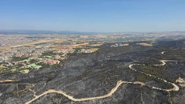 Çanakkale'deki orman yangınları tamamen kontrol altına alındı: "Köyün yarısı yandı"
