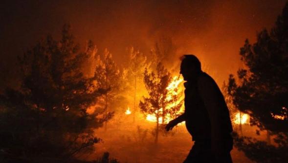 Türkiye'nin ormanları kül oluyor: Mersin ve Hatay'da yerleşim alanları tahliye edildi