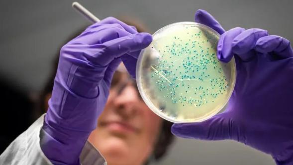 Yapay zeka, dirençli bakterilere karşı yeni antibiyotik tasarladı