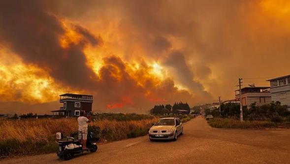 Yedi ildeki orman yangınlarında son durum