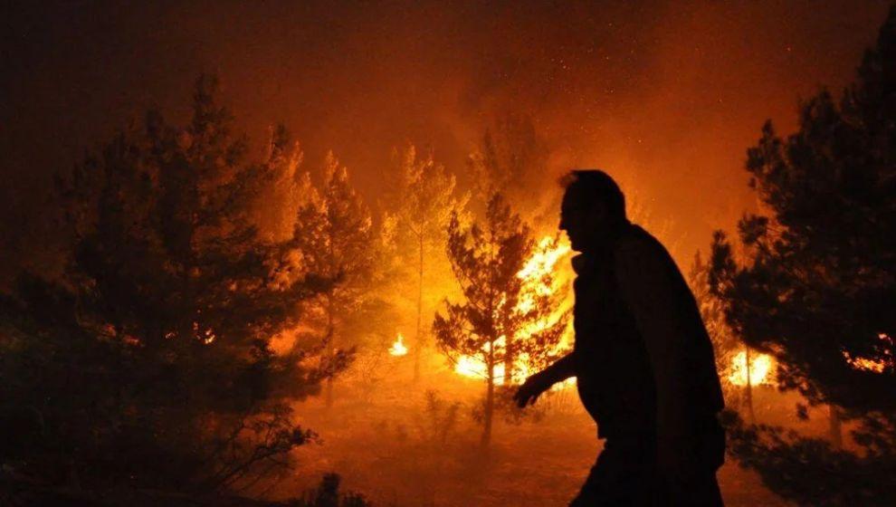 Türkiye'nin ormanları kül oluyor: Mersin ve Hatay'da yerleşim alanları tahliye edildi