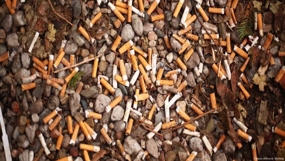 Yere atılan sigara izmaritleri su kaynaklarını zehirliyor