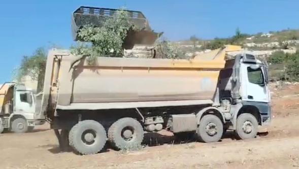 Akbelen'de zeytin ağaçları madencilik için sökülüyor: Halk ve şirket ne diyor?