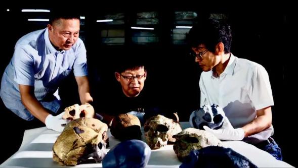 Yunxian 2: Bir milyon yıl yaşındaki kafatası, evrim tarihini 'yeniden yazıyor'