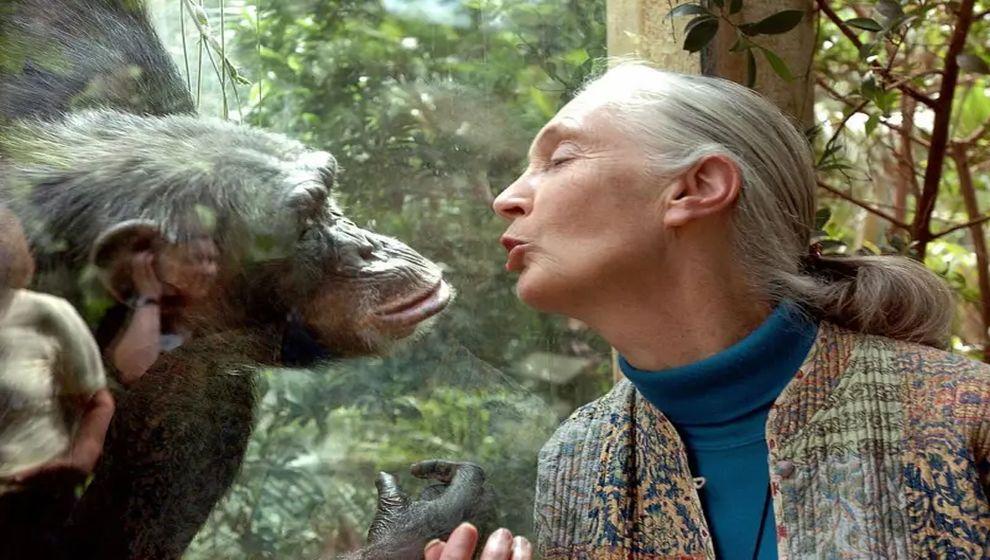 Doğa korumacı Jane Goodall 91 yaşında hayatını kaybetti