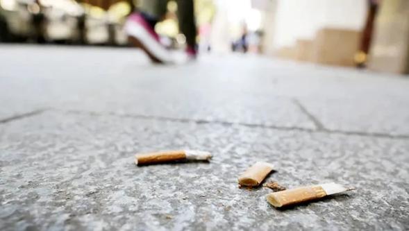 Bolu'da yere sigara izmariti atan yandı: Rekor ceza uygulanacak