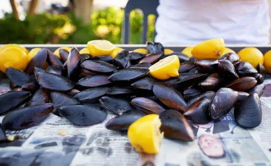 İstanbul'da 'zehirlenme' şüphesiyle ölümlerin ardından gözaltı sayısı 11'e yükseldi