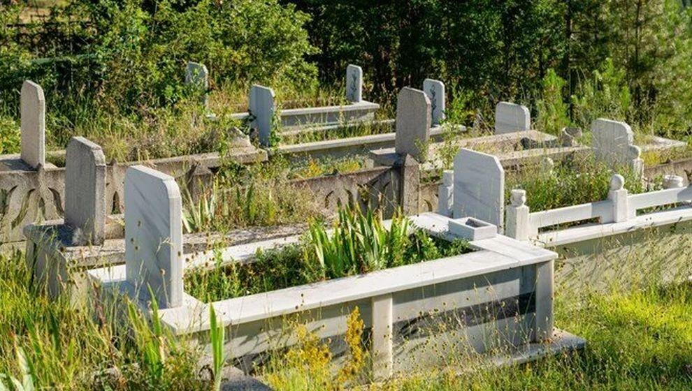 Ölüler Çetesi: 100 milyon liralık tapu vurgunu