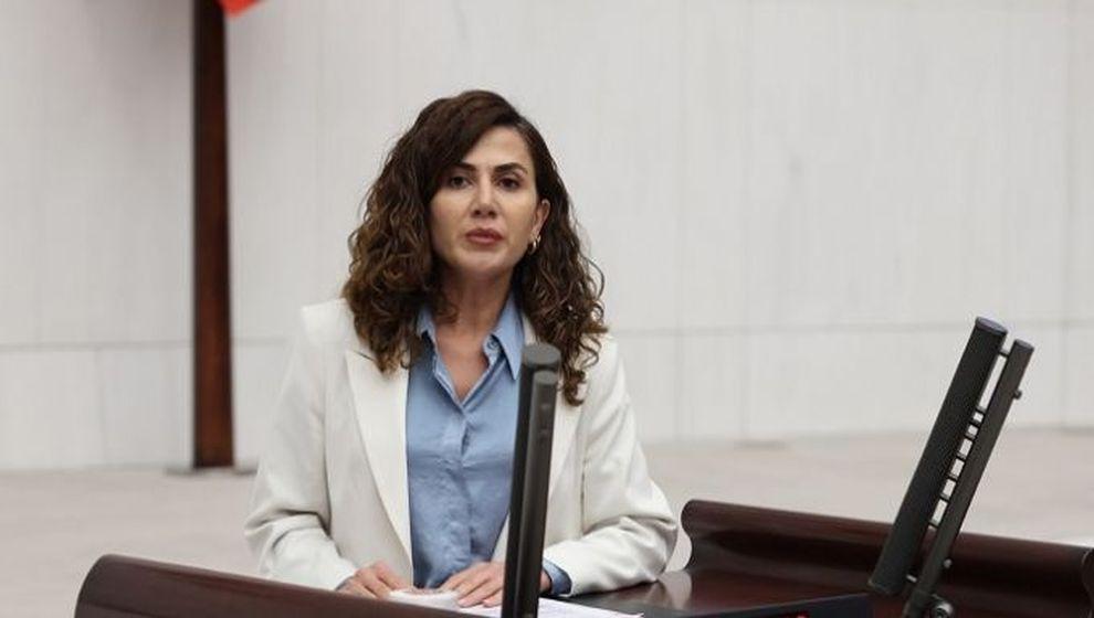 Terör örgütü maşası DEM 'Milletvekili'nden Türk askerlerine alçak iftira