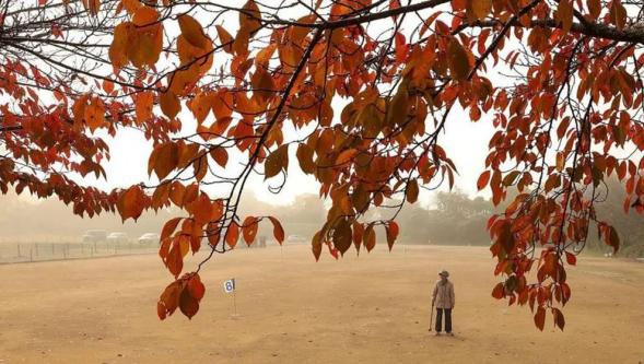 Japonya büyük bir demans kriziyle karşı karşıya