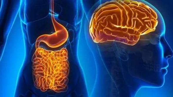 Bağırsak sağlığı yaşlanmayı nasıl etkiliyor, doktorlar ne tavsiye ediyor?