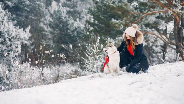 Bilim açıklıyor: 'Kar aslında beyaz değil'