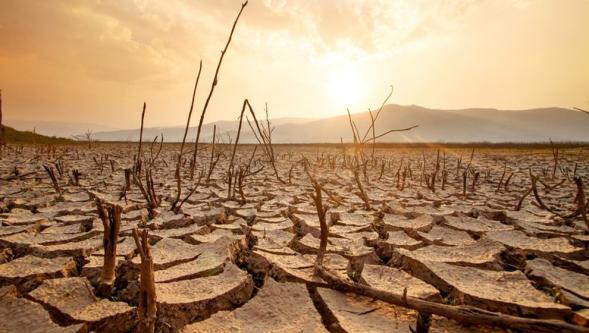 Dünyanın 'su iflası'na girmesi ne anlama geliyor?