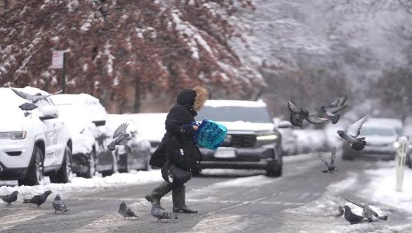 Türkiye donuyor: Yeni yılın ilk haftasında hava buz, 63 ilde kar var