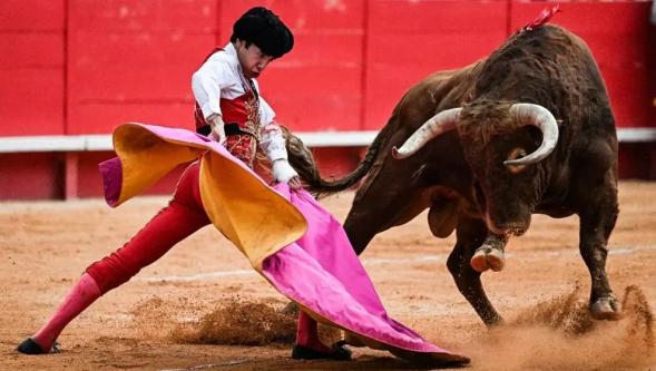 İspanya'da boğa karnavalı bu kez can aldı, 1 seyirci öldü