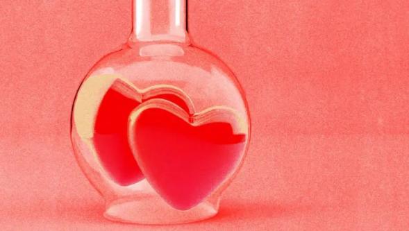 Sevgililer Günü'nün sorusu: Ruh ikizi diye bir şey var mı?