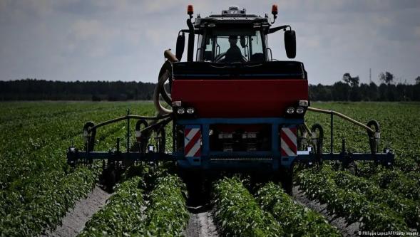 İran savaşı gıda güvenliğini nasıl etkileyebilir?