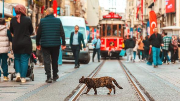 İstiklal Caddesi'ne ziyaretçi akını: 107 milyon kişiyle rekor