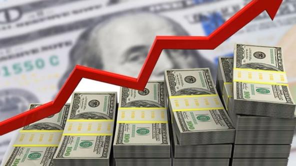 'Türkiye, TL'yi korumak için 12 milyar dolar harcadı'