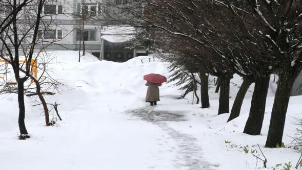 Kış geri geldi, zirai don tehlikesi var